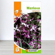 Насіння матіоли, 1,0г, ТМ Яскрава
